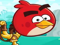 Birds Casual image