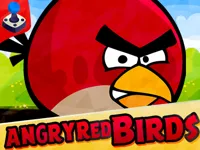 Birds image